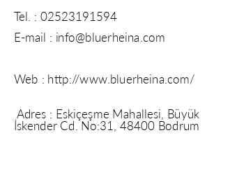 Blue Rheina Hotel iletiim bilgileri