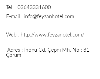 Feyzan Hotel iletiim bilgileri